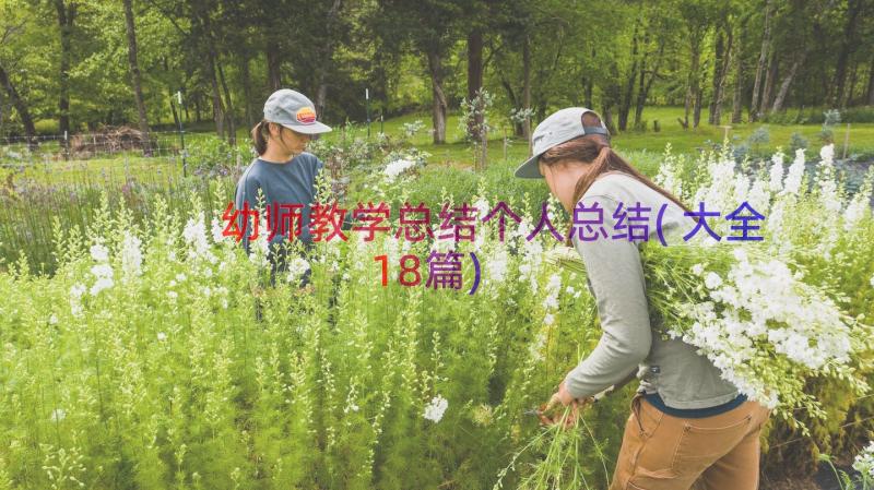 幼师教学总结个人总结(大全18篇)