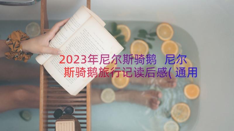 2023年尼尔斯骑鹅 尼尔斯骑鹅旅行记读后感(通用9篇)