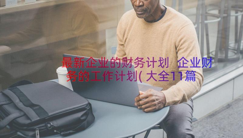 最新企业的财务计划 企业财务的工作计划(大全11篇)