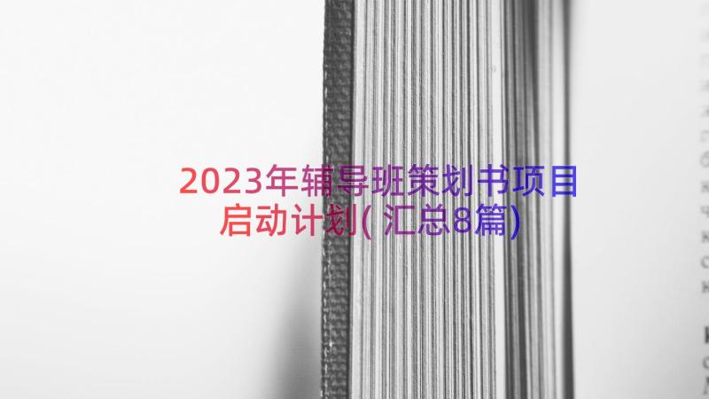 2023年辅导班策划书项目启动计划(汇总8篇)