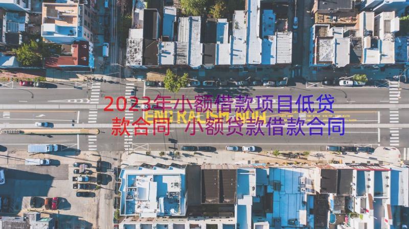 2023年小额借款项目低贷款合同 小额贷款借款合同(大全8篇)