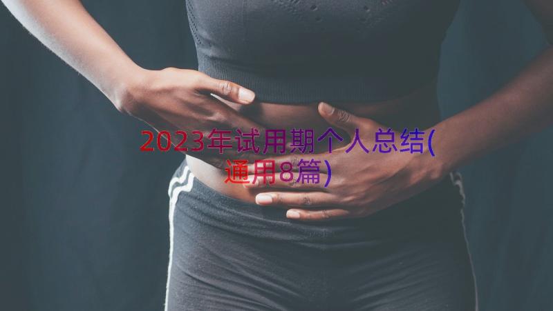 2023年试用期个人总结(通用8篇)