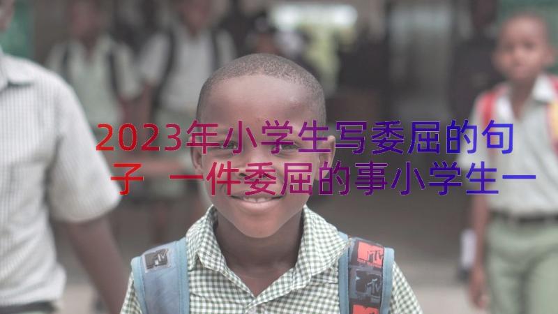 2023年小学生写委屈的句子 一件委屈的事小学生一件委屈的事小学(实用8篇)