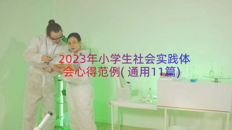 2023年小学生社会实践体会心得范例(通用11篇)