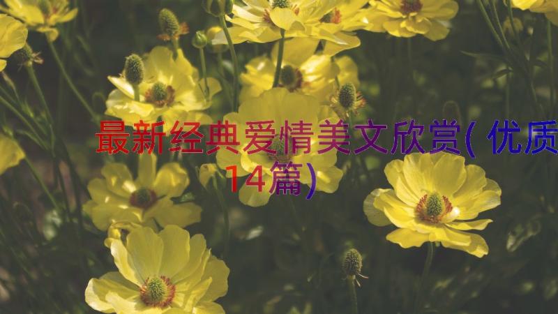 最新经典爱情美文欣赏(优质14篇)