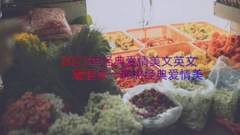 2023年经典爱情美文英文 婚姻是一棵树经典爱情美文(大全8篇)