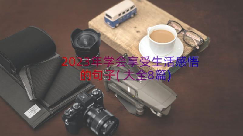 2023年学会享受生活感悟的句子(大全8篇)