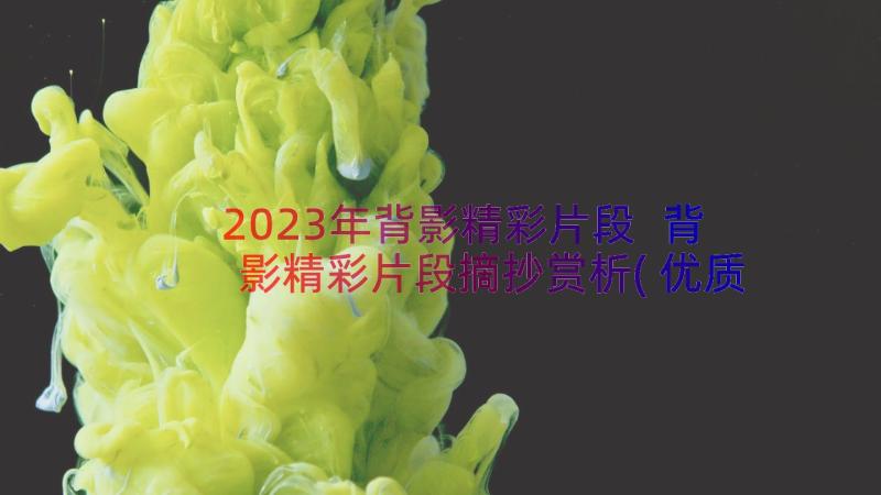 2023年背影精彩片段 背影精彩片段摘抄赏析(优质8篇)