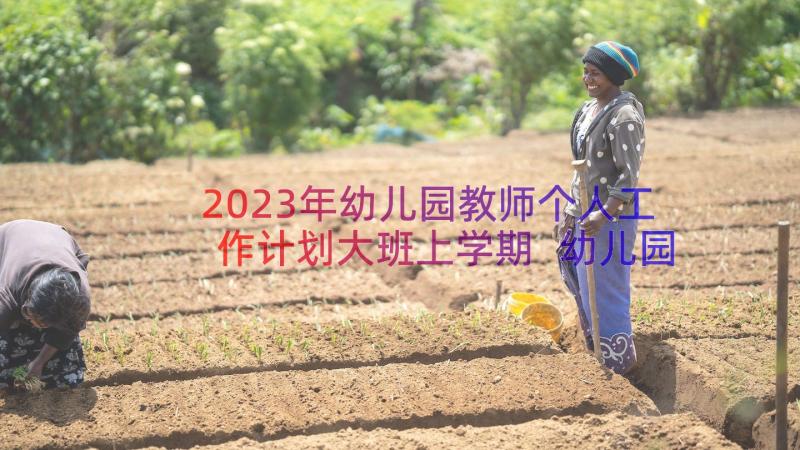 2023年幼儿园教师个人工作计划大班上学期 幼儿园教师个人工作计划(汇总16篇)