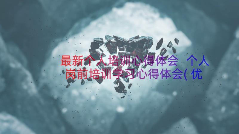 最新个人培训心得体会 个人岗前培训学习心得体会(优质17篇)