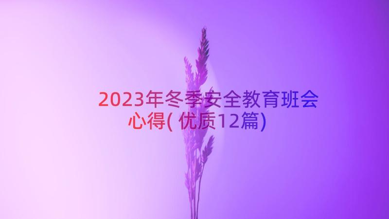 2023年冬季安全教育班会心得(优质12篇)