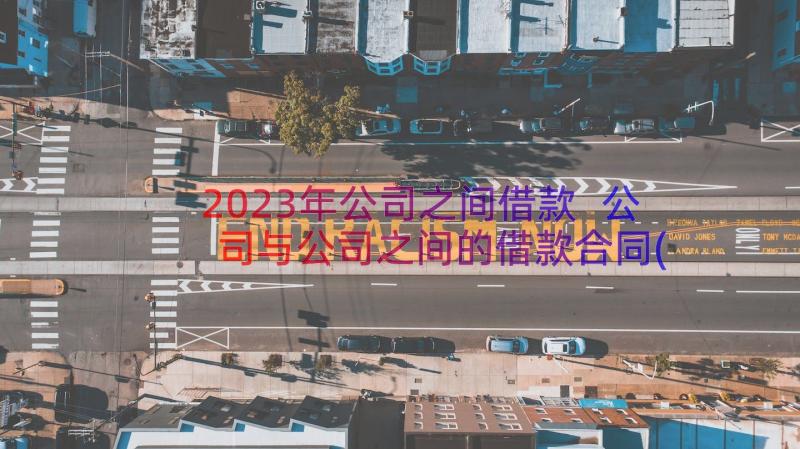 2023年公司之间借款 公司与公司之间的借款合同(大全13篇)