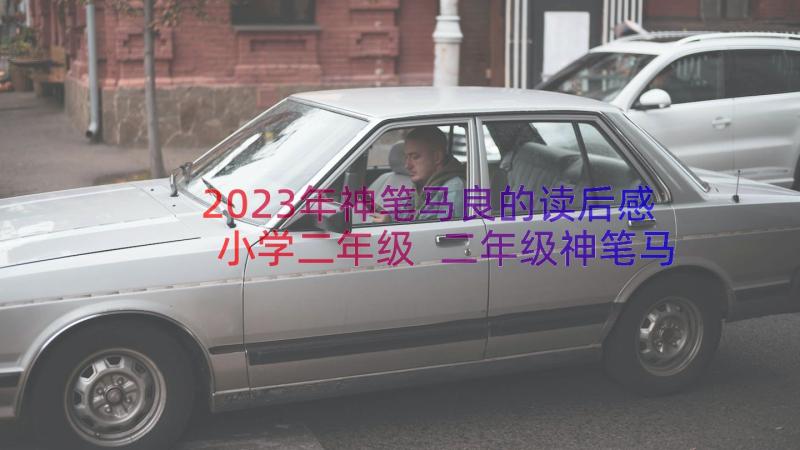 2023年神笔马良的读后感小学二年级 二年级神笔马良读后感(优质17篇)