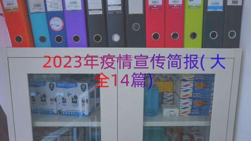 2023年疫情宣传简报(大全14篇)