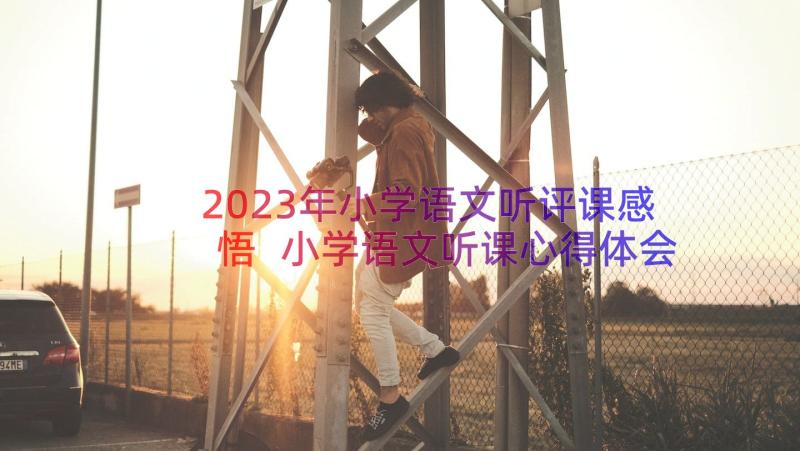 2023年小学语文听评课感悟 小学语文听课心得体会(大全12篇)