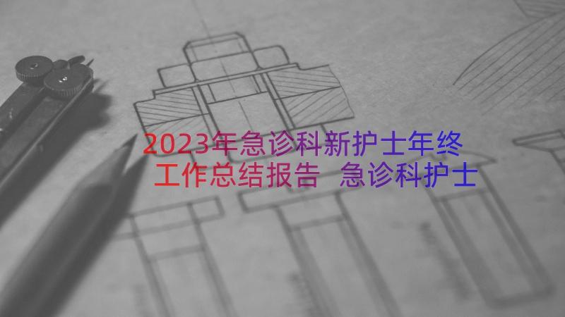 2023年急诊科新护士年终工作总结报告 急诊科护士年终工作总结(模板19篇)