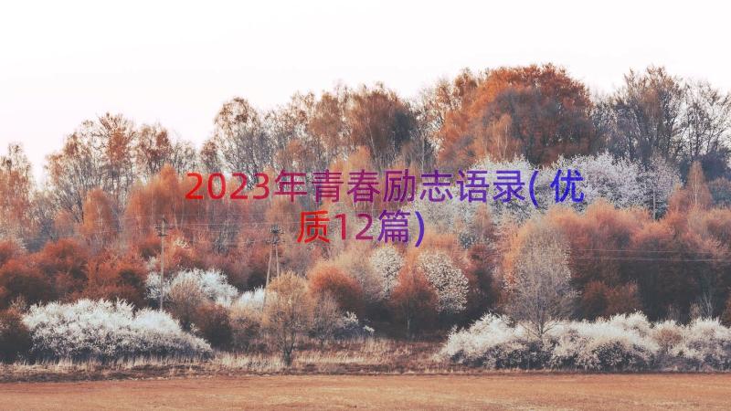 2023年青春励志语录(优质12篇)