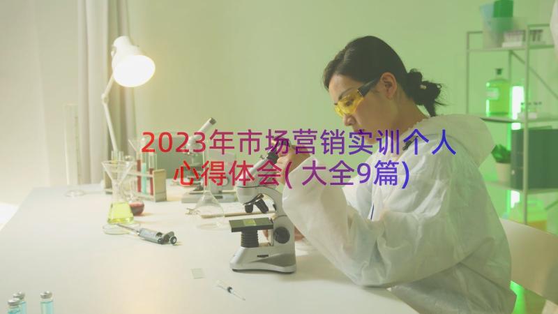 2023年市场营销实训个人心得体会(大全9篇)