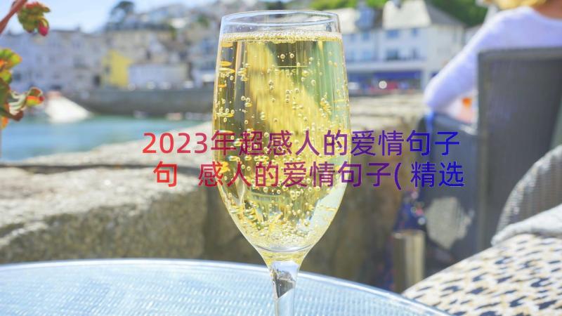 2023年超感人的爱情句子句 感人的爱情句子(精选18篇)