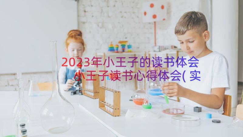 2023年小王子的读书体会 小王子读书心得体会(实用18篇)