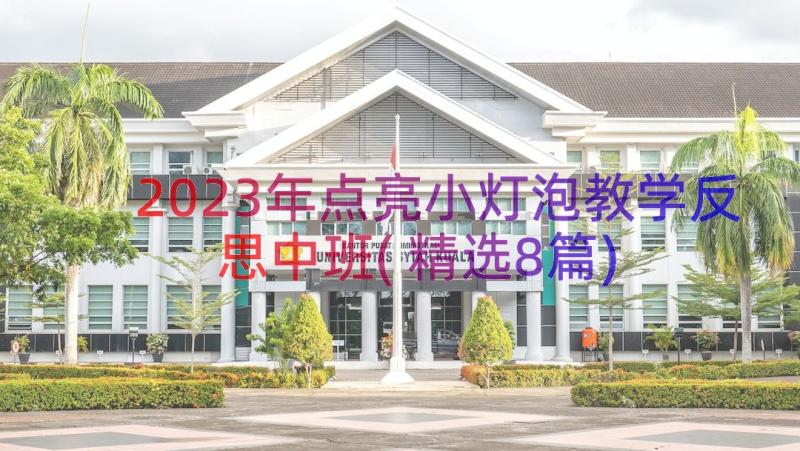 2023年点亮小灯泡教学反思中班(精选8篇)