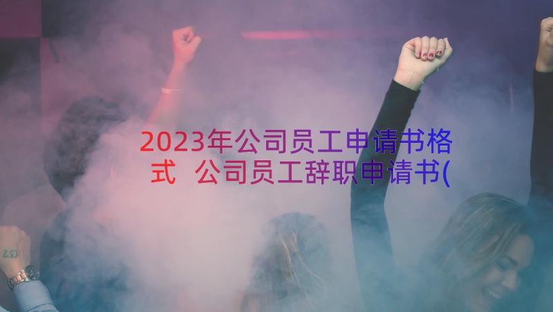 2023年公司员工申请书格式 公司员工辞职申请书(实用17篇)