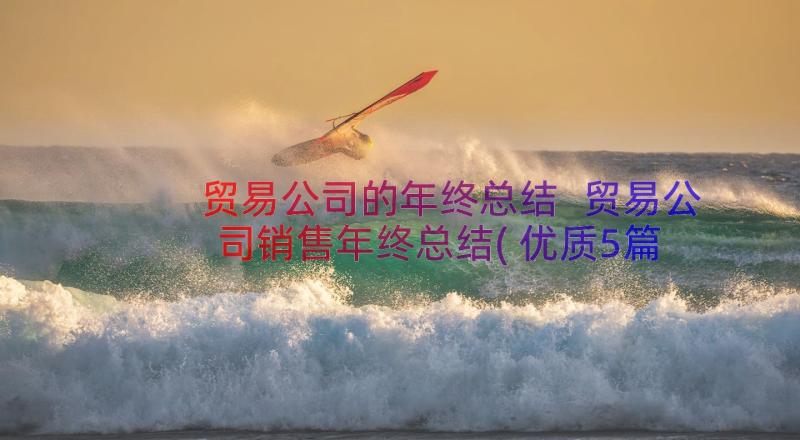 贸易公司的年终总结 贸易公司销售年终总结(优质5篇)