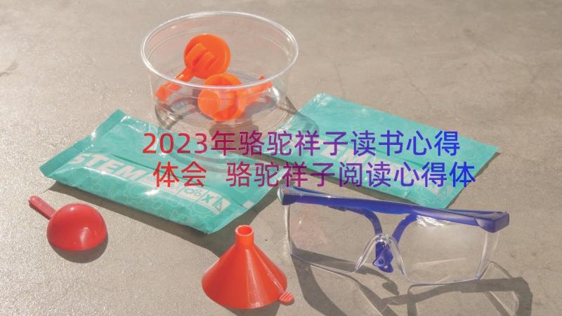 2023年骆驼祥子读书心得体会 骆驼祥子阅读心得体会(精选9篇)