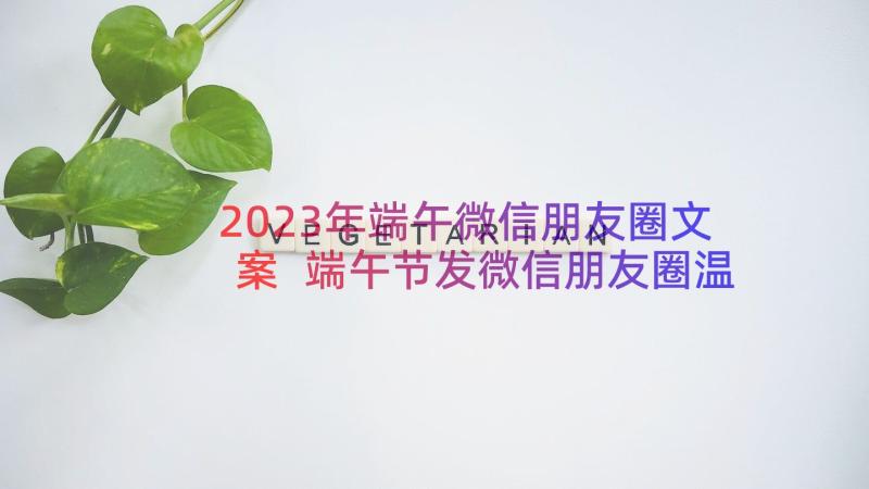 2023年端午微信朋友圈文案 端午节发微信朋友圈温馨祝福子说说(优秀5篇)