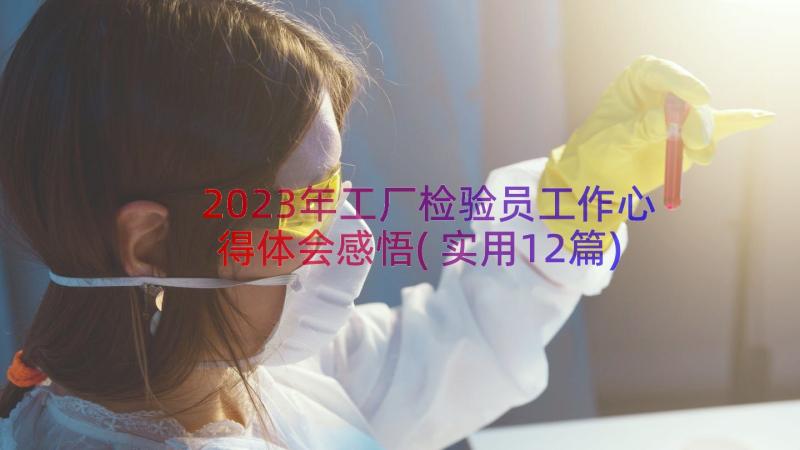 2023年工厂检验员工作心得体会感悟(实用12篇)