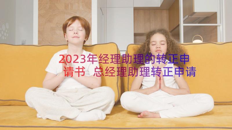 2023年经理助理的转正申请书 总经理助理转正申请书(优秀14篇)