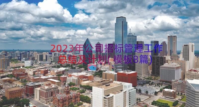 2023年公司招标管理工作总结及计划(模板8篇)