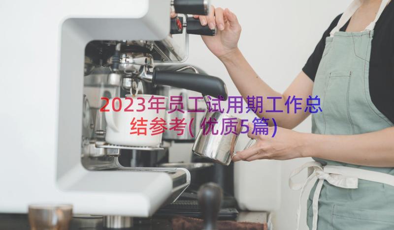 2023年员工试用期工作总结参考(优质5篇)