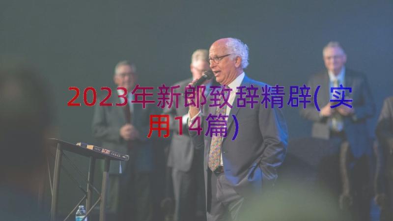 2023年新郎致辞精辟(实用14篇)