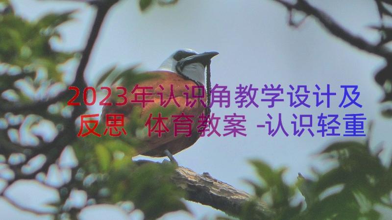 2023年认识角教学设计及反思 体育教案－认识轻重认识球体教案反思(通用19篇)