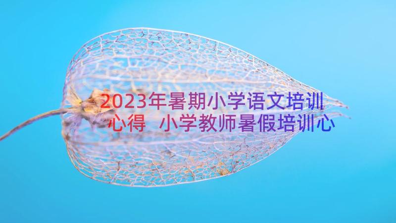 2023年暑期小学语文培训心得 小学教师暑假培训心得体会(通用14篇)