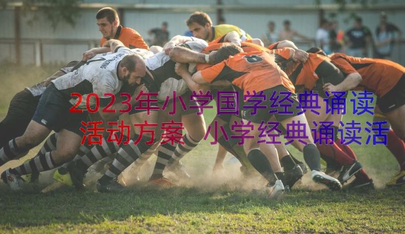 2023年小学国学经典诵读活动方案 小学经典诵读活动总结(优秀5篇)