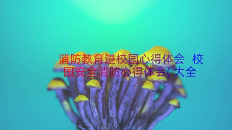 消防教育进校园心得体会 校园安全消防心得体会(大全16篇)