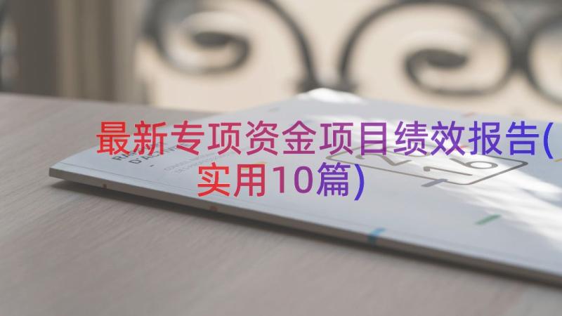 最新专项资金项目绩效报告(实用10篇)