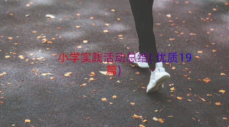 小学实践活动总结(优质19篇)