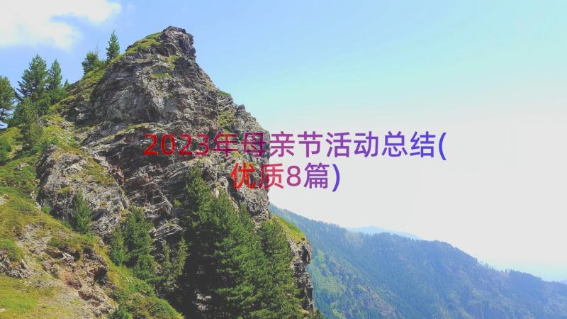 2023年母亲节活动总结(优质8篇)