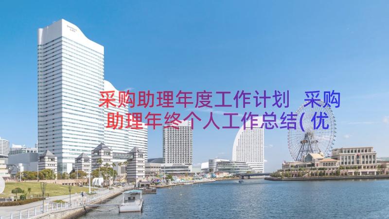 采购助理年度工作计划 采购助理年终个人工作总结(优质8篇)