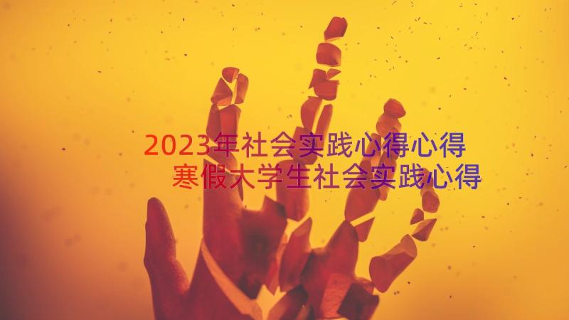 2023年社会实践心得心得 寒假大学生社会实践心得体会范例(通用8篇)