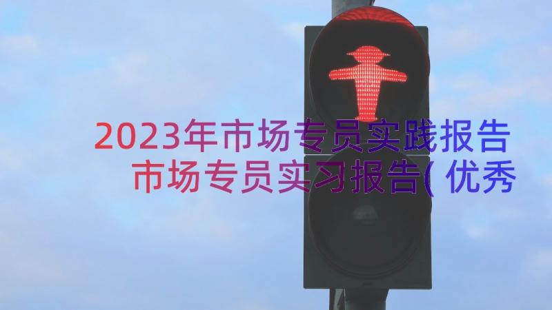 2023年市场专员实践报告 市场专员实习报告(优秀8篇)