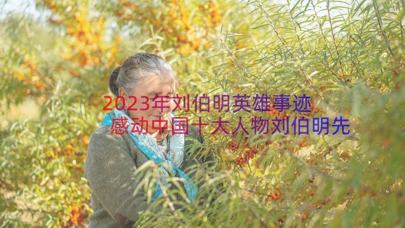 2023年刘伯明英雄事迹 感动中国十大人物刘伯明先进事迹(模板8篇)