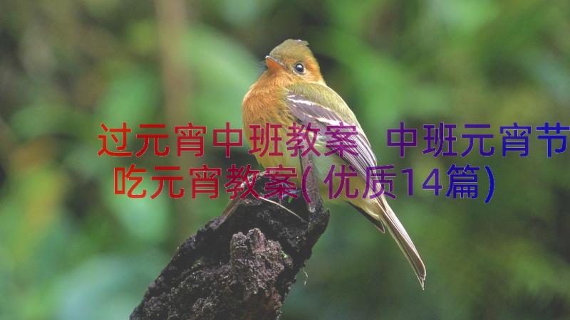 过元宵中班教案 中班元宵节吃元宵教案(优质14篇)