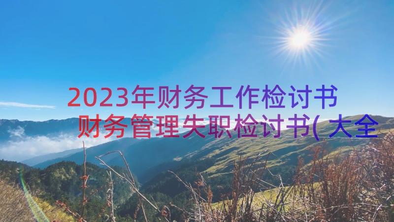 2023年财务工作检讨书 财务管理失职检讨书(大全11篇)