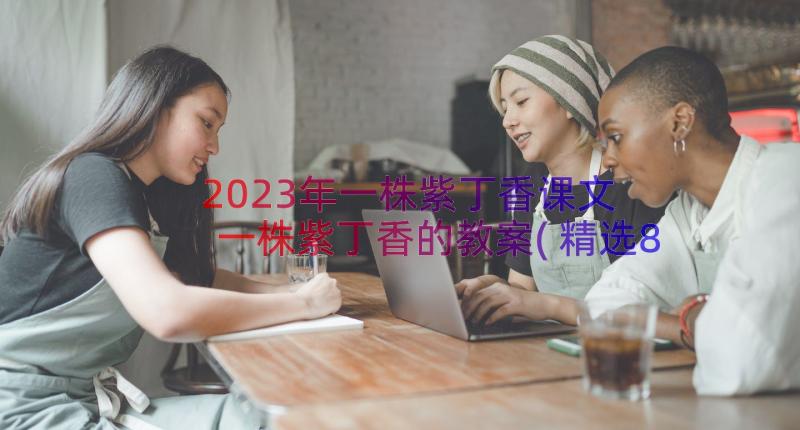 2023年一株紫丁香课文 一株紫丁香的教案(精选8篇)