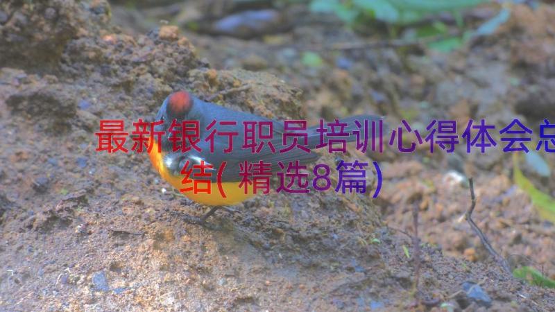 最新银行职员培训心得体会总结(精选8篇)