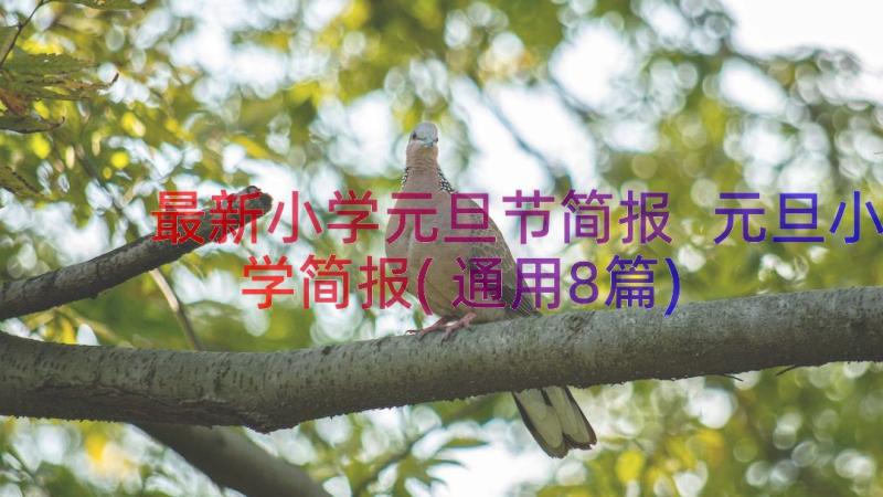 最新小学元旦节简报 元旦小学简报(通用8篇)